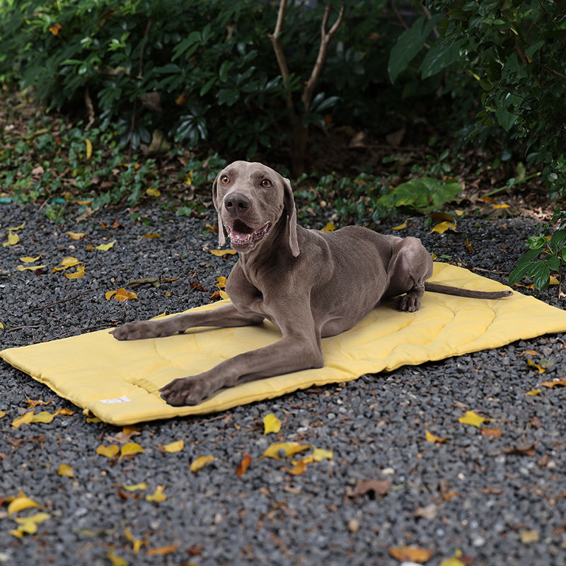 Taşınabilir Pet Mat katlanabil - Outdoor Rug Waterproof incelemesi ve fiyatı
